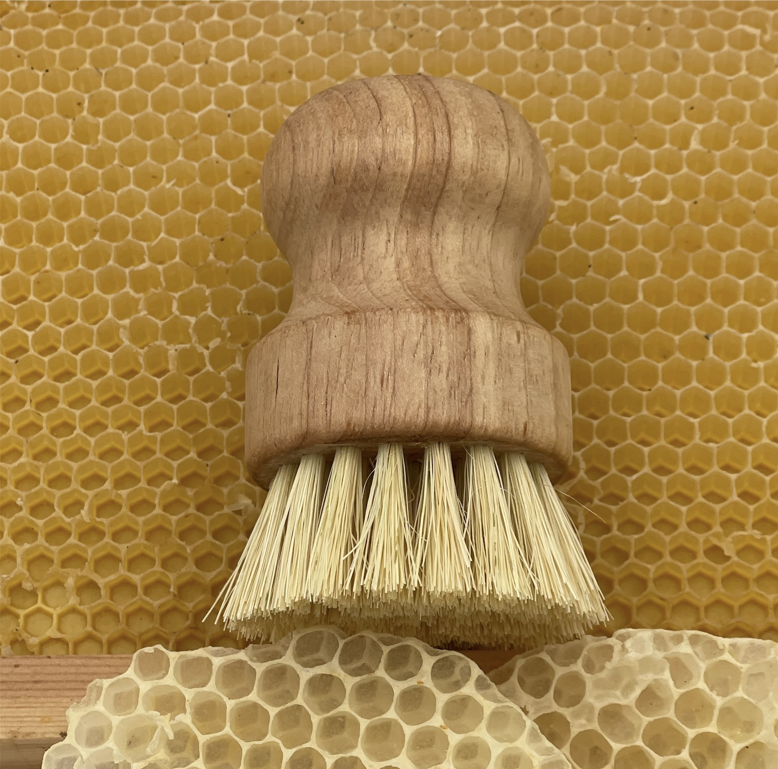 Natural Wooden Dish Brush
