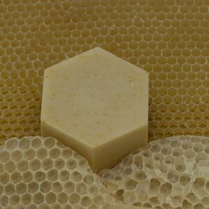 Everyday Shine Shampoo Bar